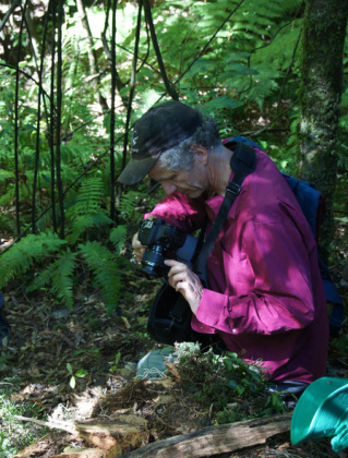 Professor Gerhard Zotz photographing species on a fallen epiphyte clump